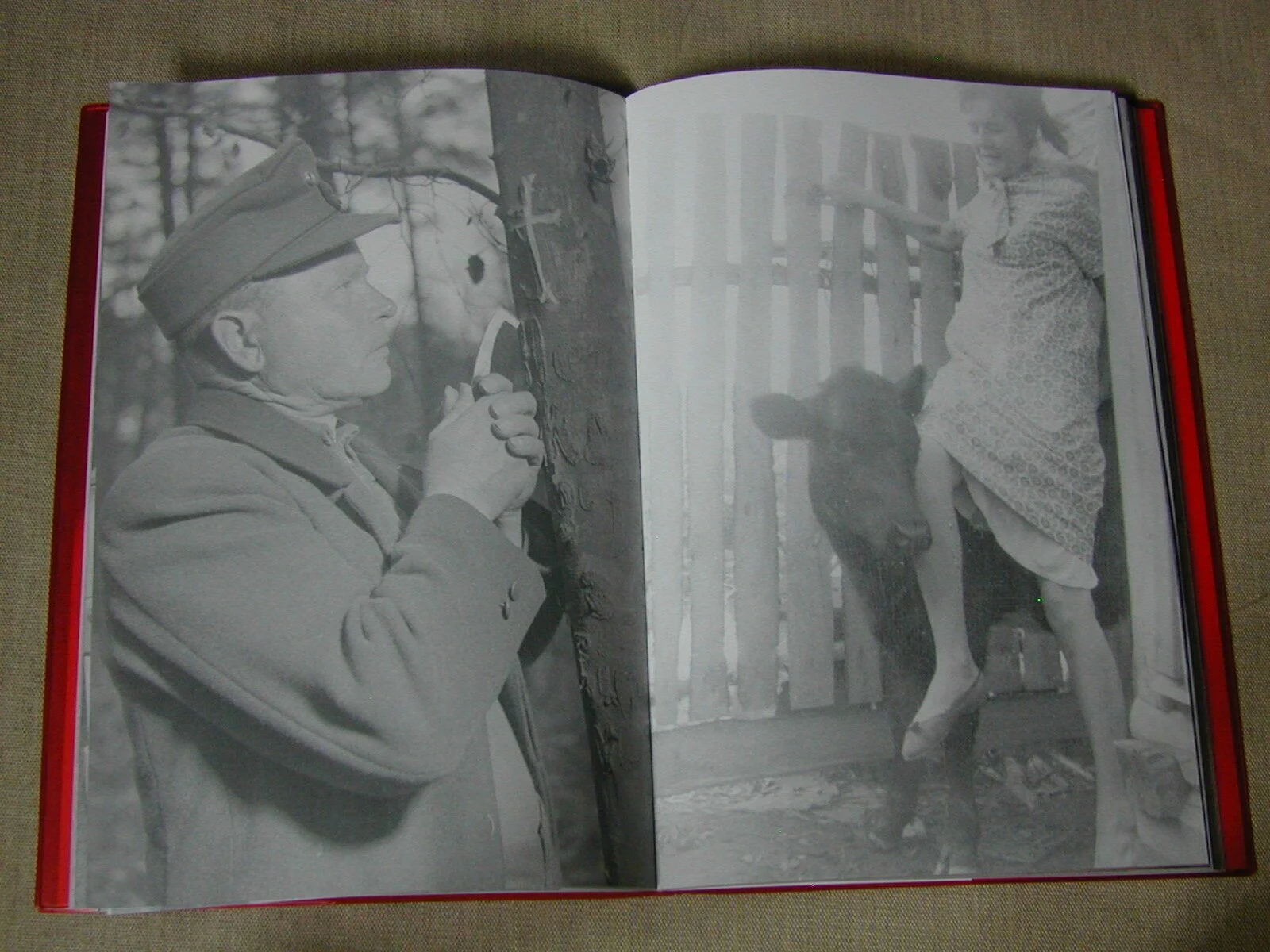 Illustrated People by Thomas Mailaender — Open Book Collectibles